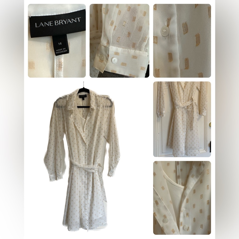 Lane Bryant Dress